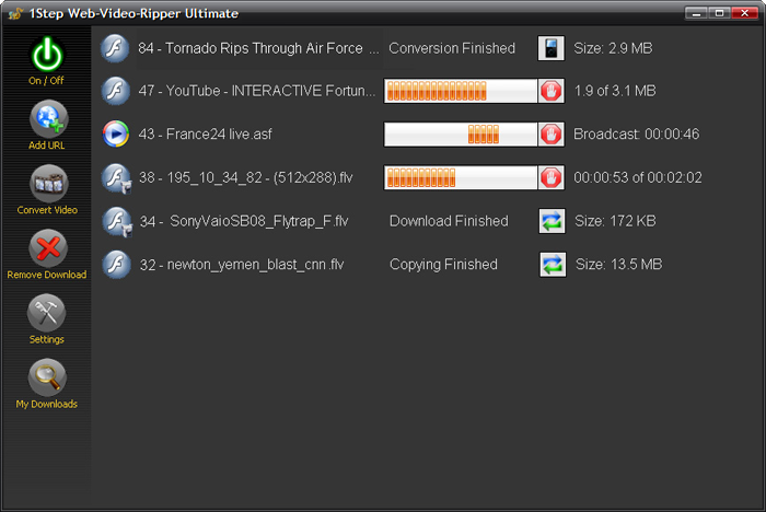 1Step Web-Video-Ripper main window